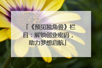 《预见独角兽》栏目：解锁创业密码，助力梦想启航