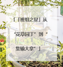 「班组之星」从“花草园丁”到“集输大拿”