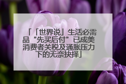「世界说」生活必需品“先买后付”已成美消费者关税及通胀压力下的无奈抉择
