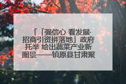 「强信心 看发展·招商引资拼落地」政府托举 绘出蔬菜产业新图景——镇原县甘肃聚广利现代设施蔬菜种植基地见闻