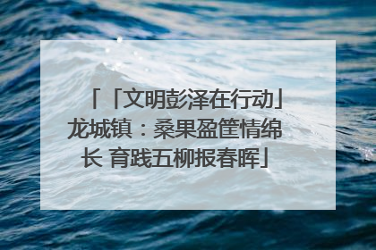 「文明彭泽在行动」龙城镇：桑果盈筐情绵长 育践五柳报春晖