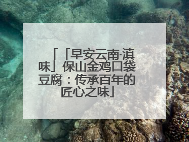 「早安云南·滇味」保山金鸡口袋豆腐：传承百年的匠心之味