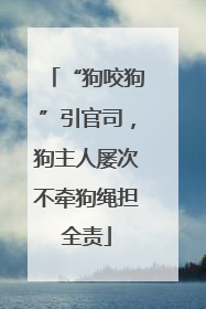 “狗咬狗”引官司，狗主人屡次不牵狗绳担全责
