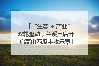 “生态 + 产业”双轮驱动，兰溪黄店开启高山西瓜丰收乐章