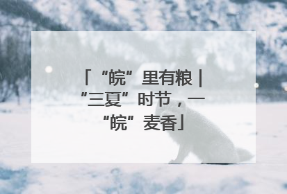 “皖”里有粮｜“三夏”时节，一“皖”麦香