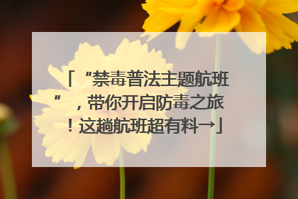 “禁毒普法主题航班”，带你开启防毒之旅！这趟航班超有料→