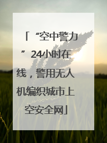 “空中警力”24小时在线，警用无人机编织城市上空安全网