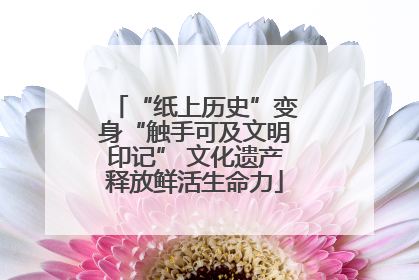 “纸上历史”变身“触手可及文明印记” 文化遗产释放鲜活生命力