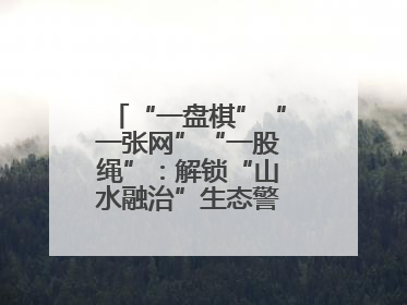 “一盘棋”“一张网”“一股绳”：解锁“山水融治”生态警务“密码”