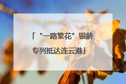 “一路繁花”银龄专列抵达连云港
