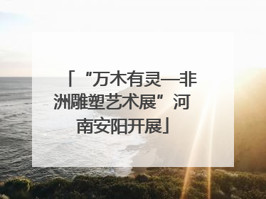 “万木有灵—非洲雕塑艺术展”河南安阳开展