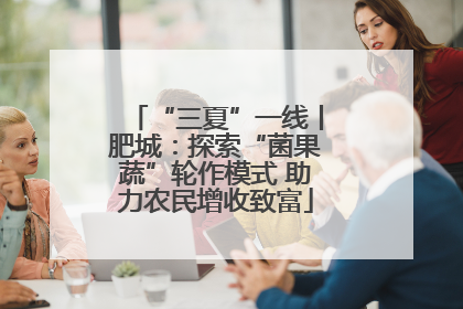 “三夏”一线丨肥城：探索“菌果蔬”轮作模式 助力农民增收致富
