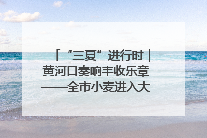 “三夏”进行时｜黄河口奏响丰收乐章——全市小麦进入大面积收获高峰期