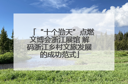 “十个勤天”点燃文博会浙江展馆 解码浙江乡村文旅发展的成功范式