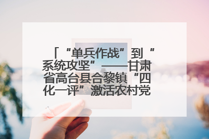 “单兵作战”到“系统攻坚”——甘肃省高台县合黎镇“四化一评”激活农村党员管理新引擎