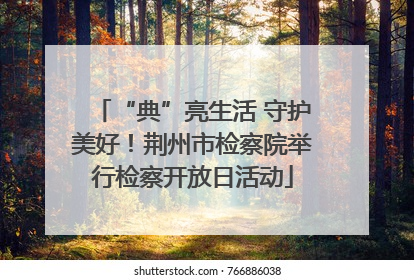 “典”亮生活 守护美好！荆州市检察院举行检察开放日活动