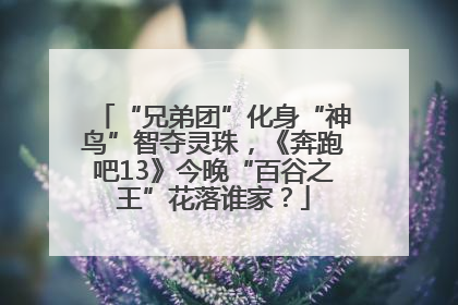 “兄弟团”化身“神鸟”智夺灵珠，《奔跑吧13》今晚“百谷之王”花落谁家？