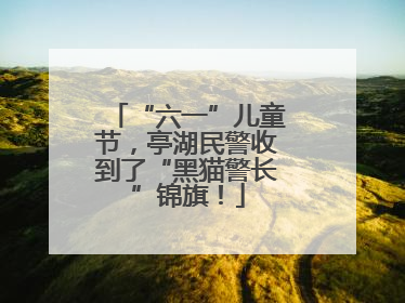“六一”儿童节，亭湖民警收到了“黑猫警长”锦旗！