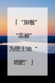 “加餐”“盖被” 为黑土地“增肥”
