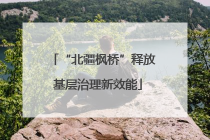 “北疆枫桥”释放基层治理新效能