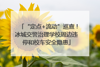 “定点+流动”巡查！冰城交警治理学校周边违停和校车安全隐患