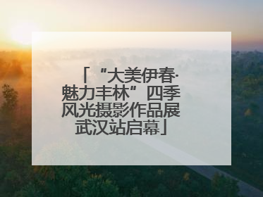 “大美伊春·魅力丰林”四季风光摄影作品展武汉站启幕
