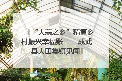 “大蒜之乡”精算乡村振兴幸福账——成武县大田集镇见闻