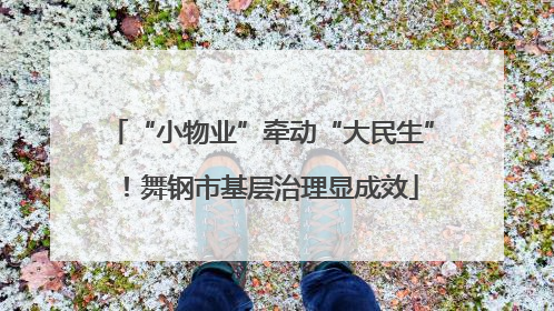 “小物业”牵动“大民生”！舞钢市基层治理显成效