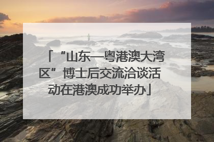 “山东—粤港澳大湾区”博士后交流洽谈活动在港澳成功举办