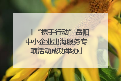 “携手行动”岳阳中小企业出海服务专项活动成功举办