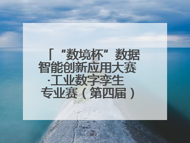 “数境杯”数据智能创新应用大赛·工业数字孪生 专业赛（第四届）全国总决赛及颁奖典礼成功举办