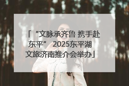 “文脉承齐鲁 携手赴东平” 2025东平湖文旅济南推介会举办
