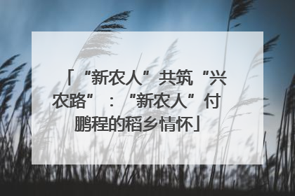 “新农人”共筑“兴农路”：“新农人”付鹏程的稻乡情怀