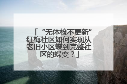 “无体检不更新”红梅社区如何实现从老旧小区蝶到完整社区的蝶变？