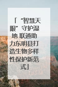 “智慧天眼”守护湿地 联通助力东明县打造生物多样性保护新范式