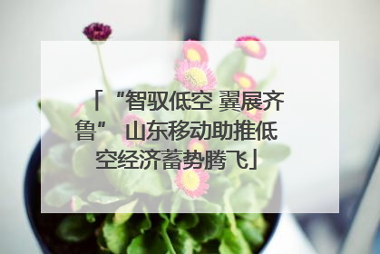 “智驭低空 翼展齐鲁” 山东移动助推低空经济蓄势腾飞
