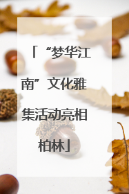 “梦华江南”文化雅集活动亮相柏林