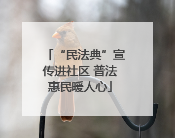 “民法典”宣传进社区 普法惠民暖人心