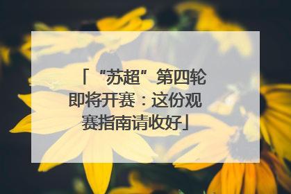 “苏超”第四轮即将开赛：这份观赛指南请收好