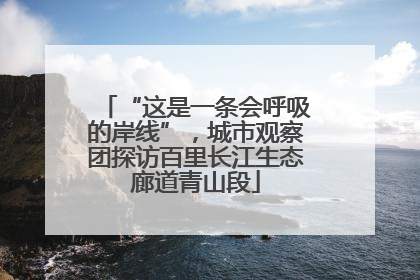 “这是一条会呼吸的岸线”，城市观察团探访百里长江生态廊道青山段