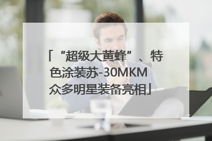 “超级大黄蜂”、特色涂装苏-30MKM 众多明星装备亮相