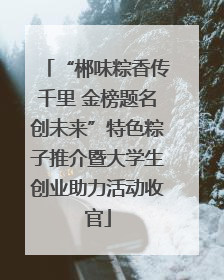“郴味粽香传千里 金榜题名创未来”特色粽子推介暨大学生创业助力活动收官