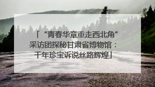 “青春华章重走西北角”采访团探秘甘肃省博物馆：千年珍宝诉说丝路辉煌