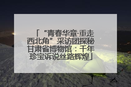 “青春华章·重走西北角”采访团探秘甘肃省博物馆：千年珍宝诉说丝路辉煌