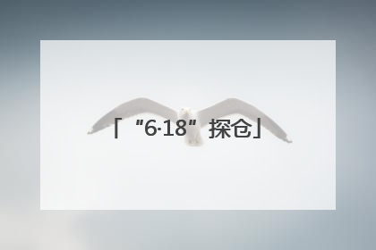 “6·18”探仓