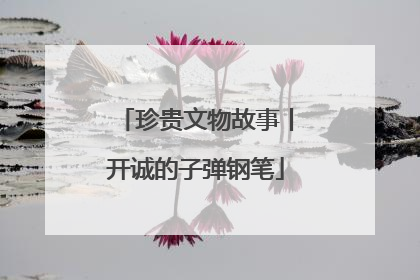 珍贵文物故事丨开诚的子弹钢笔