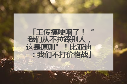 王传福哽咽了！“我们从不拉踩别人，这是原则”！比亚迪：我们不打价格战