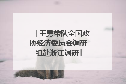 王勇带队全国政协经济委员会调研组赴浙江调研