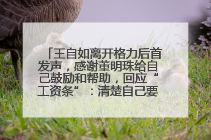 王自如离开格力后首发声，感谢董明珠给自己鼓励和帮助，回应“工资条”：清楚自己要什么，工资条不重要