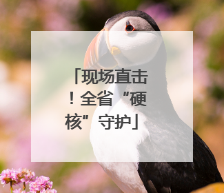 现场直击！全省“硬核”守护